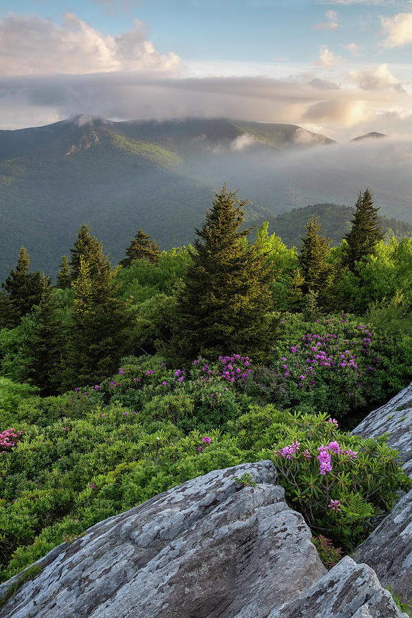Spring Photograph - North Carolina Black Mountains by Mark VanDyke