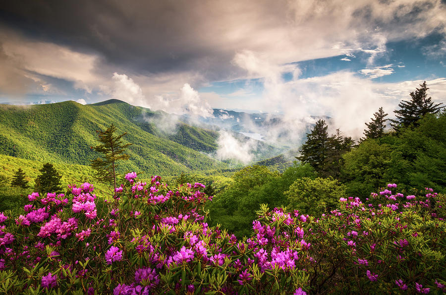 North Carolina Blue Ridge Parkway Appalachian Mountains Scenic Landscape Asheville NC Photograph by Dave Allen