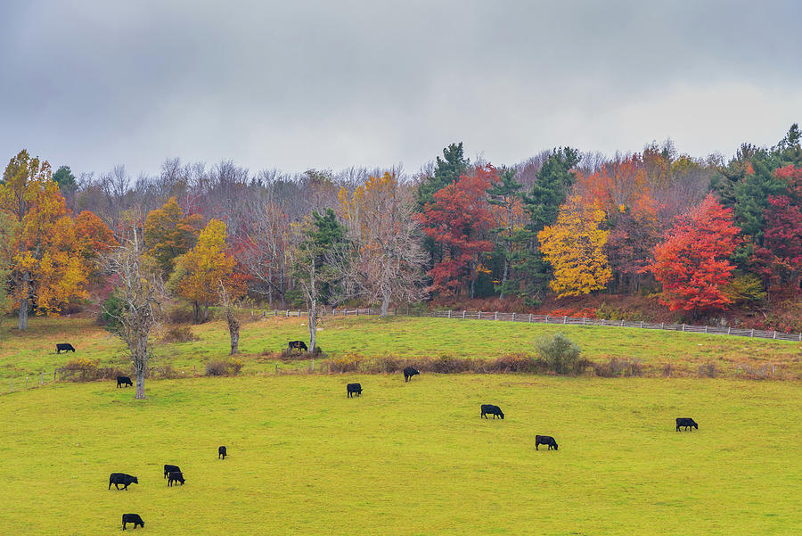 North Carolina Farm and Fall Colors Photograph by Marc Crumpler