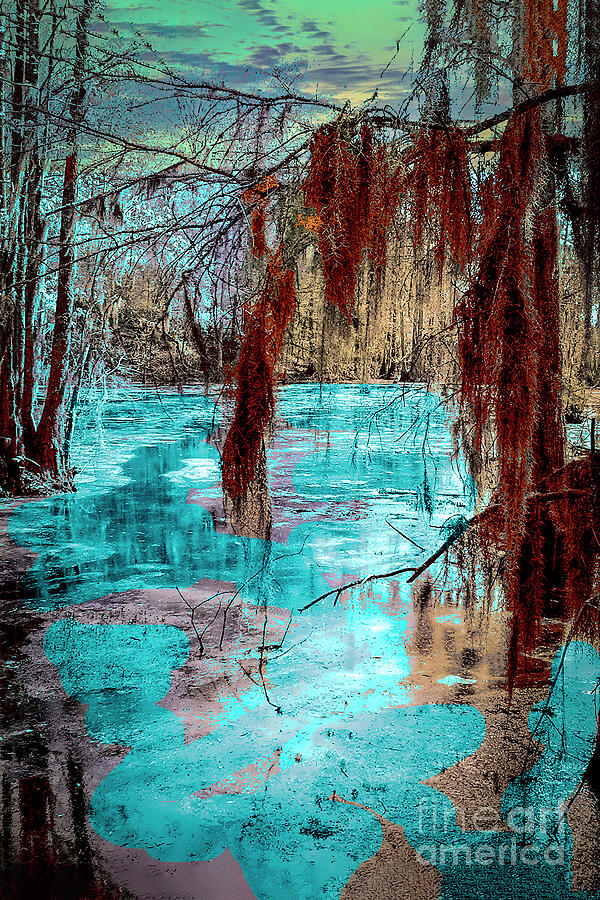 North Carolina Lowlands Digital Art by Anthony Ellis
