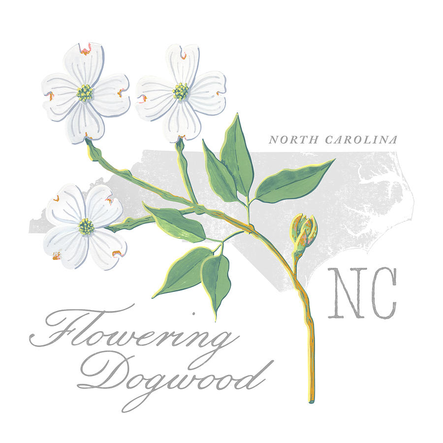 North Carolina State Flower Flowering Dogwood Art by Jen Montgomery Painting by Jen Montgomery