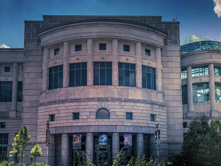 North Carolina State Museum Of Natural Sciences Photograph by Art Spectrum