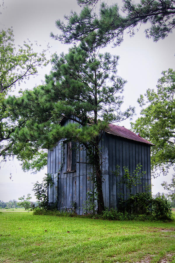 North Carolina Tobacco Barn Photograph by Bob Decker