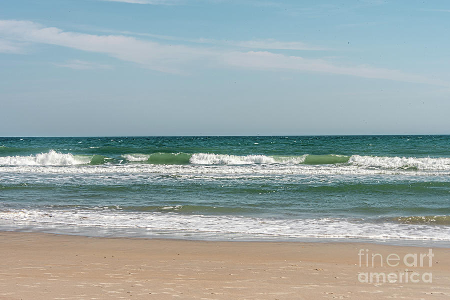 North Carolina Tropics Photograph by Bo Matthews - Fine Art America