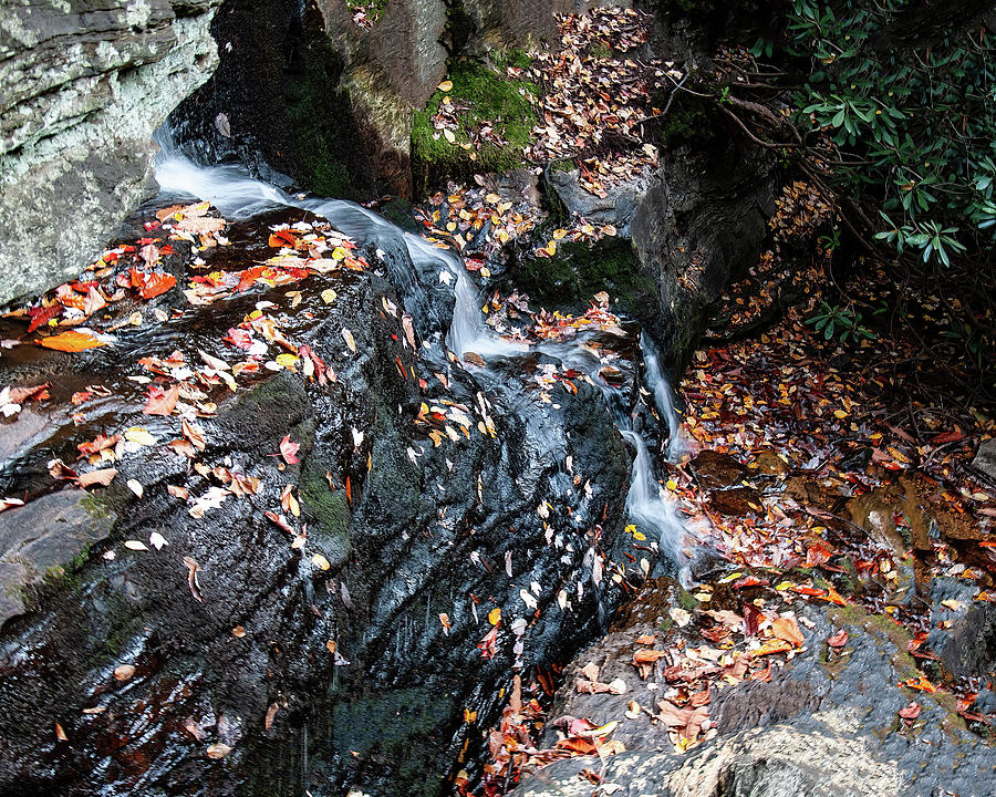 North Carolina waterfall 001 Photograph by Flees Photos