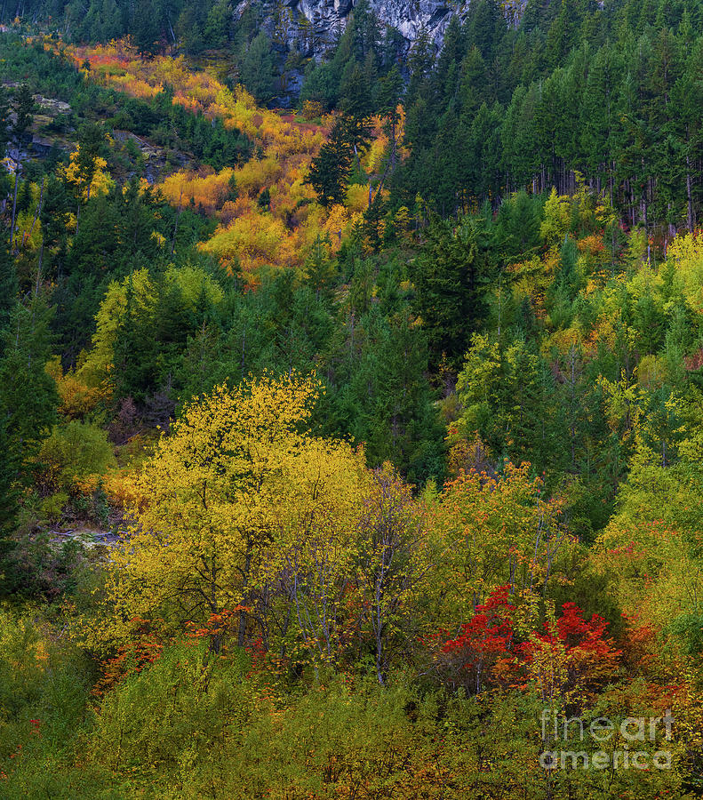 North Cascades Falls Palette Descending Photograph