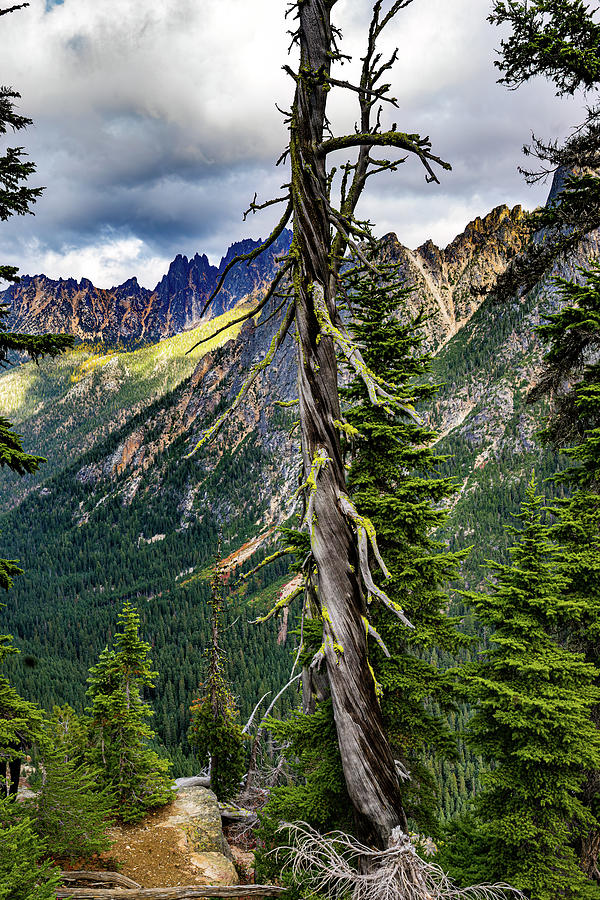 North Cascades of Washington Photograph by Tommy Farnsworth
