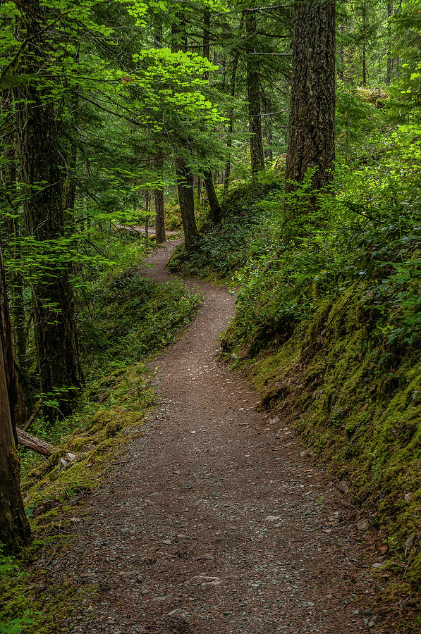 North Cascades Trail by Matthew Irvin North Cascades Trail by Matthew Irvin