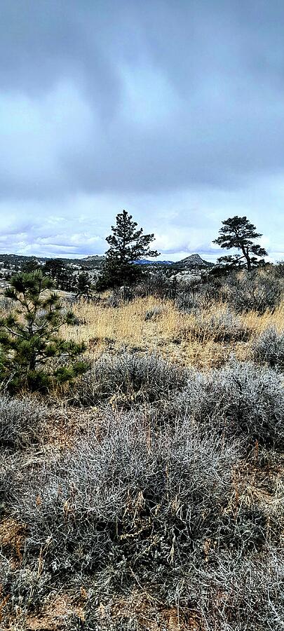 Mountain Photograph - North Crow State Park Wyoming by Yvonne Stracener
