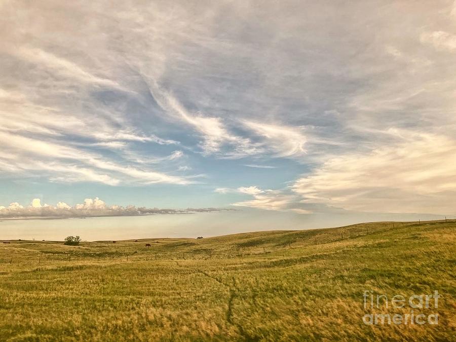 North Dakota Grassland Photograph by Liza Sofia - Pixels