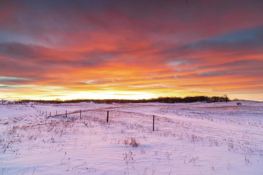 North Dakota Winter Sunrise Photograph by Roxanne Westman Fine Art