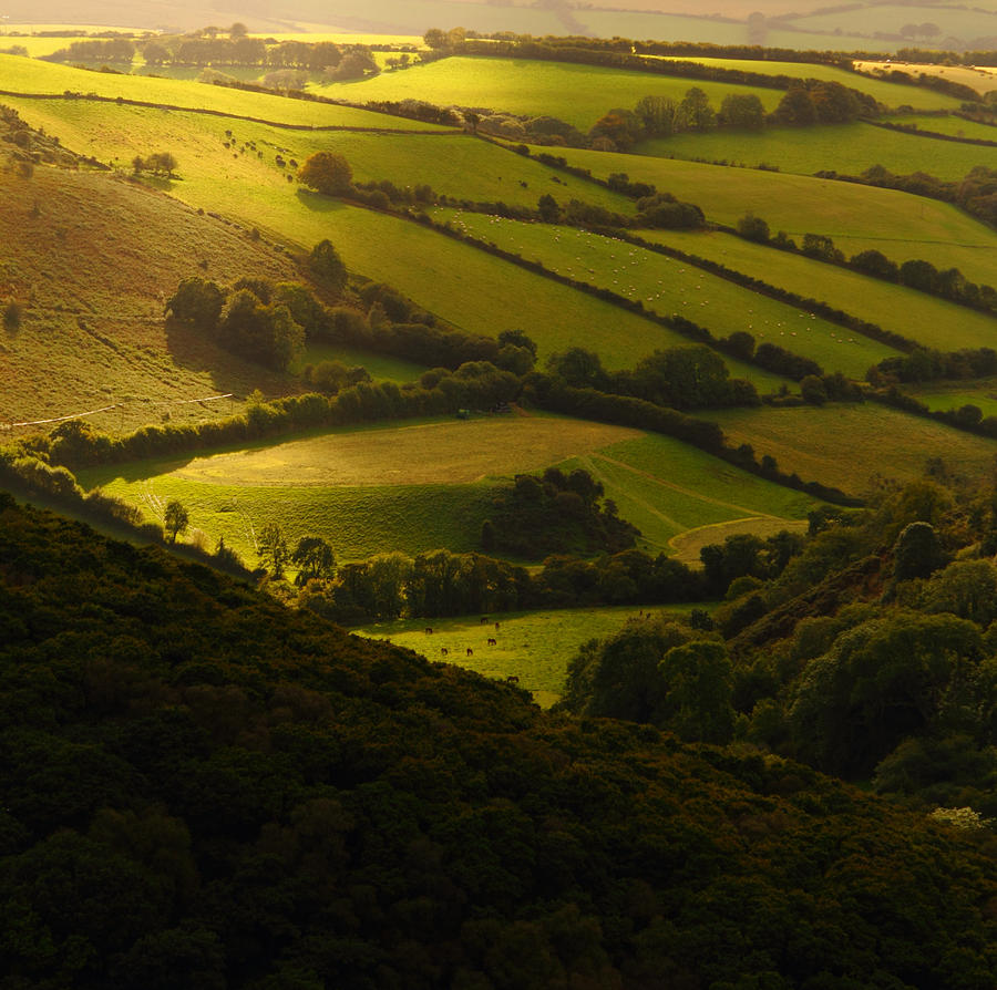 North Devon Landscape Photograph by Paul Bettison Photography