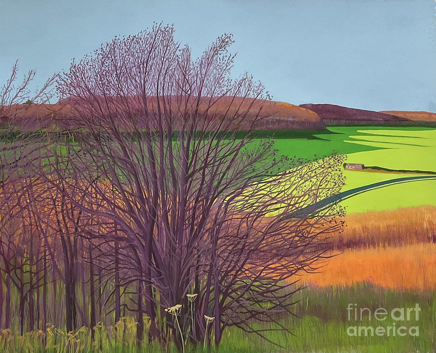 Summer Painting - North Downs, Summer by Janet Darley