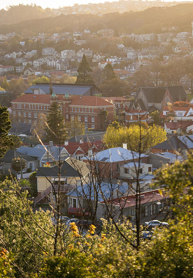 North Dunedin View Photograph by Jill Ferry Photography North Dunedin View Photograph by Jill Ferry Photography
