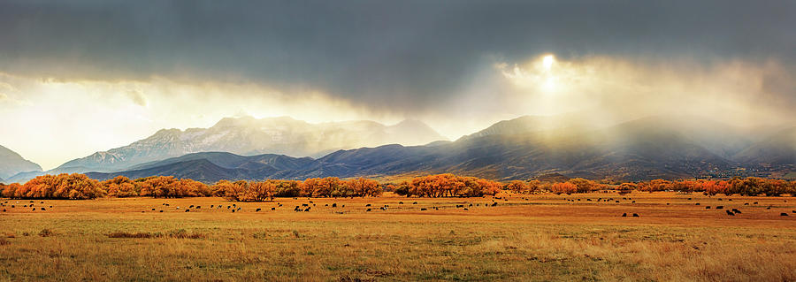 Fall Photograph - North Fields Golden Fall Panorama by Wasatch Light