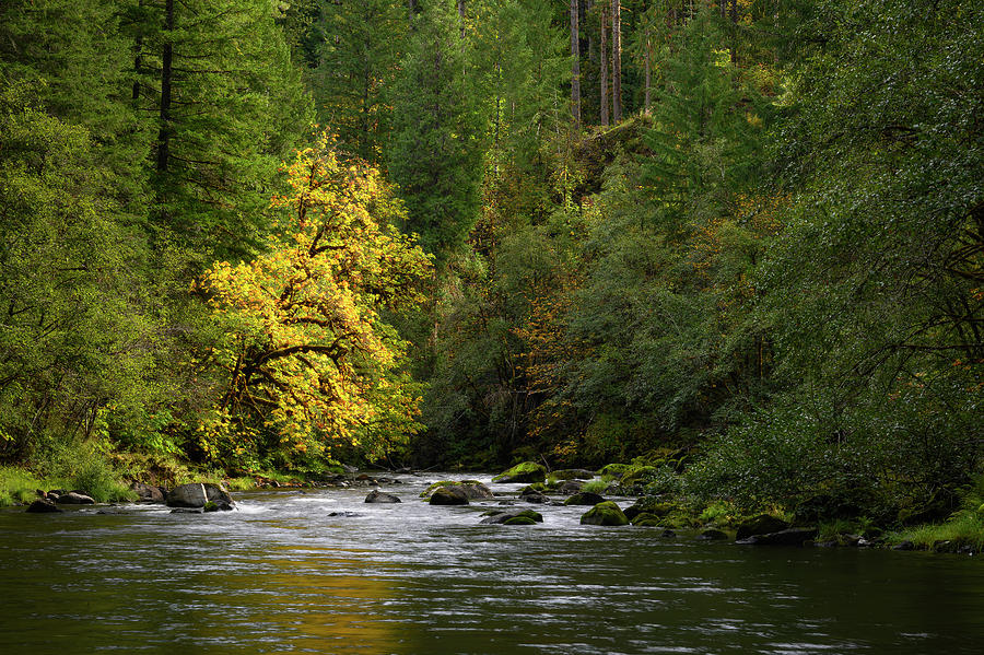 North Fork Middle Fork Photograph by Greg Vaughn - Fine Art America