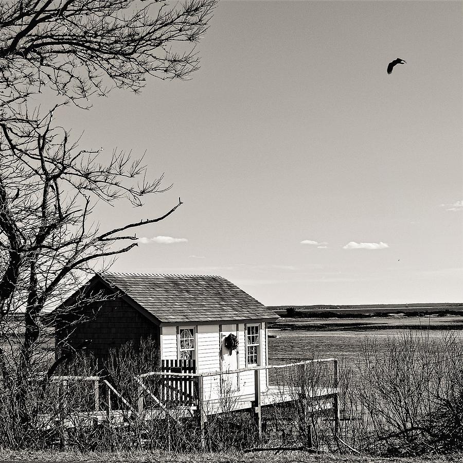 North Fork shack1a Photograph by John Linnemeyer