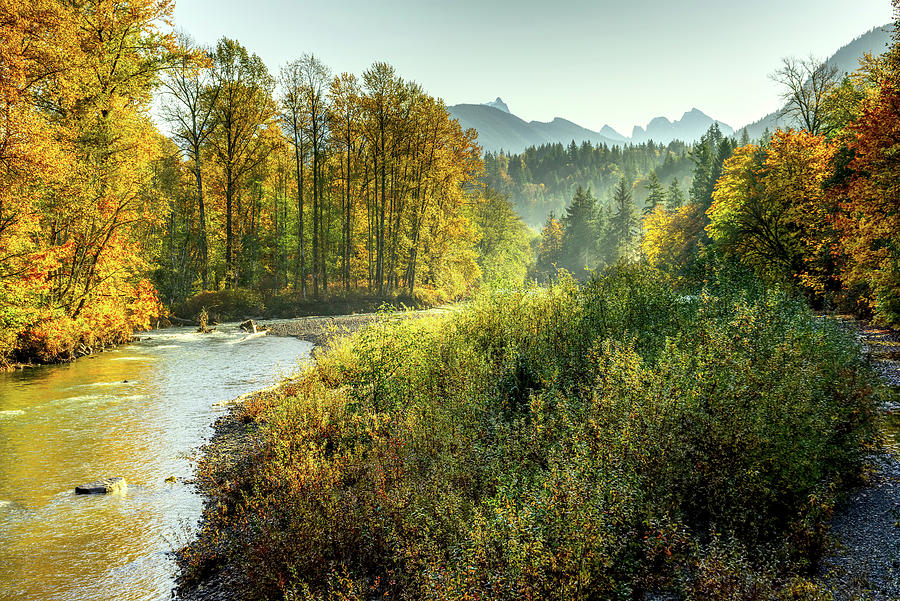 North Fork Stillaguamish River, Oso Loop Road, Bank Brush Photograph by ...