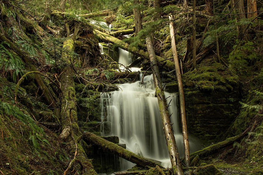 North Idaho Waterfall Photograph by Stan Foster - Fine Art America