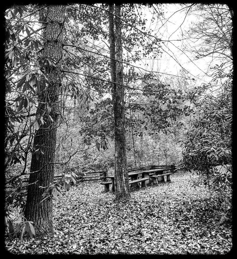 Lonely Fall Picnic Tables Photograph by Katherine Y Mangum