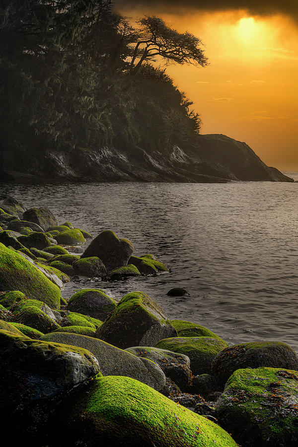 North Pacific Coastal Sunset Photograph by Michael Ash