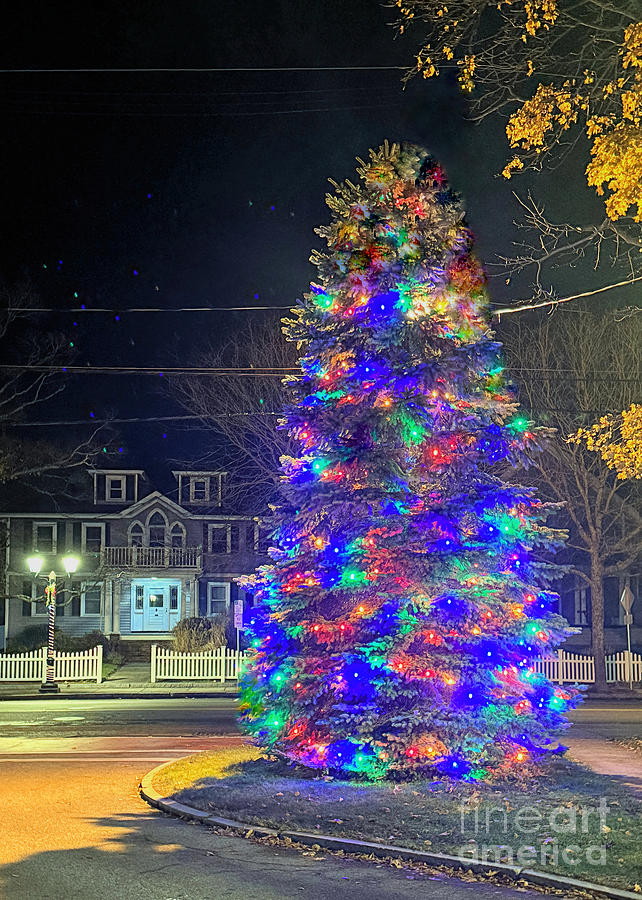 North Plymouth Christmas tree Photograph by Janice Drew