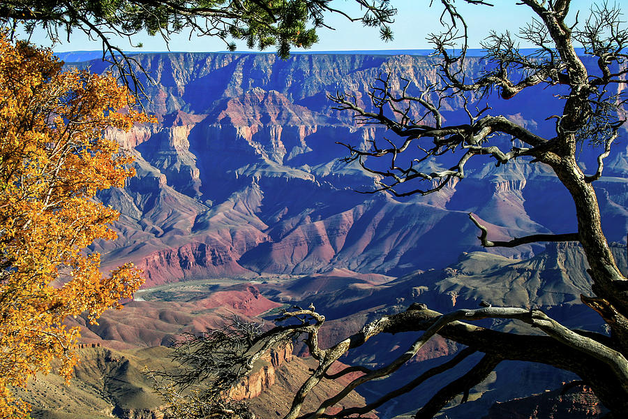 North Rim Framed Photograph by Diane Moller