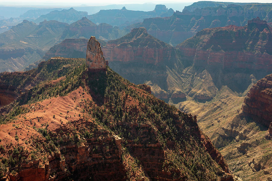 North Rim Grand Canyon National Park 15 Photograph by Ricky Barnard ...