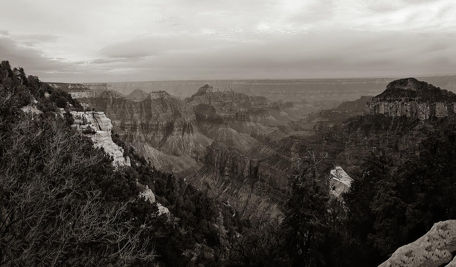 North Rim of Grand Canyon in Sepia Photograph by Jeff Folger