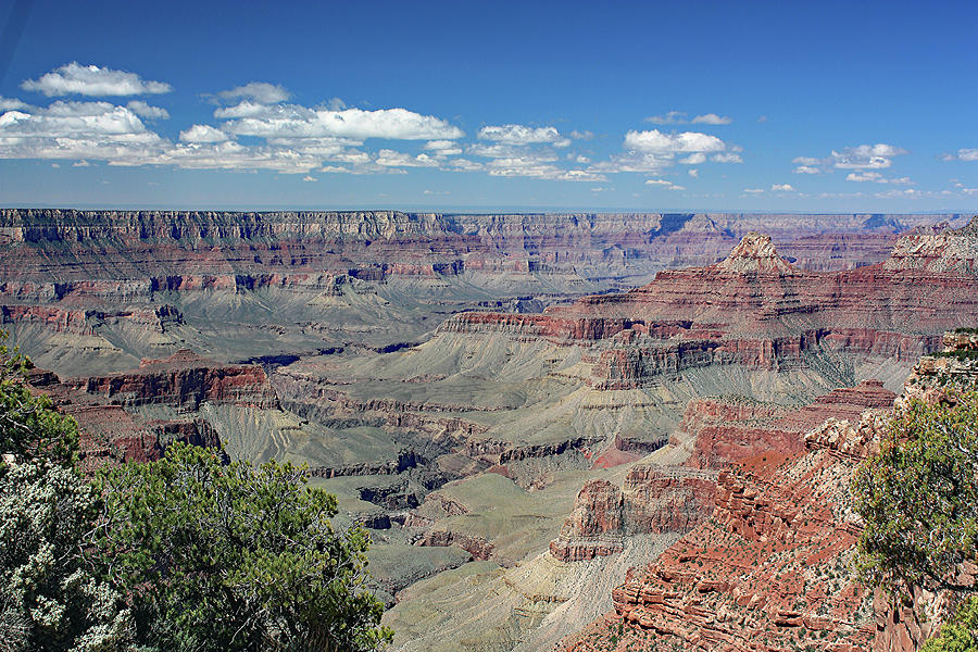 North Rim View Photograph by RC Photo | Fine Art America