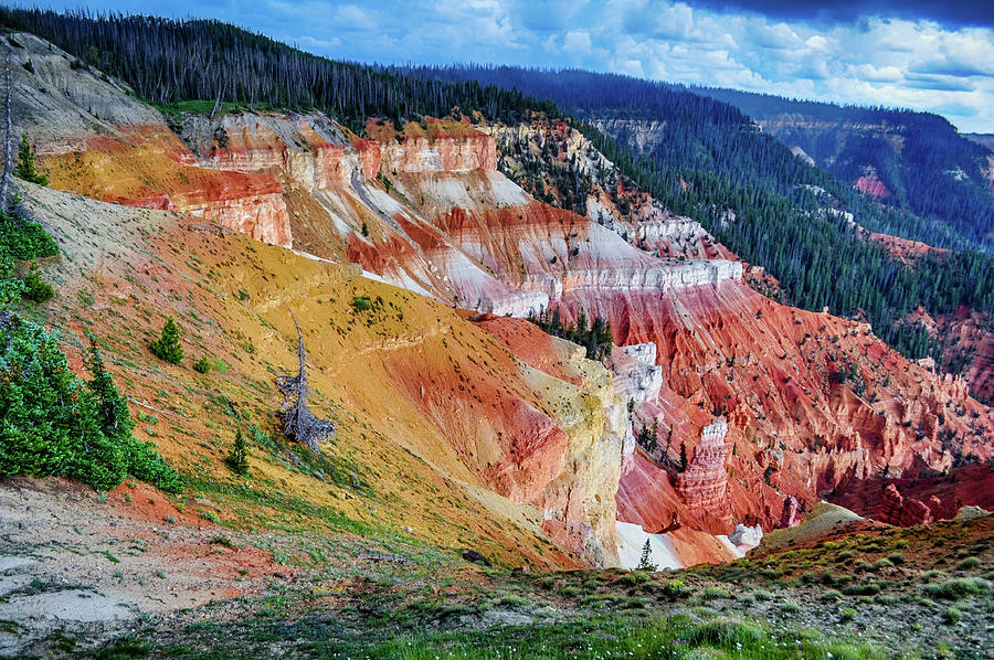 North View Cedar Breaks National Monument Photograph by Kyle Hanson