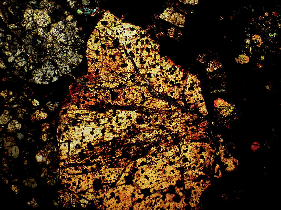 North West Africa 5026 meteorite Photograph by Hodges Jeffery