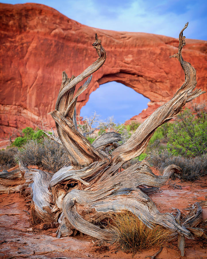 North Window, Arches National Park Photograph by Adam Romanowicz