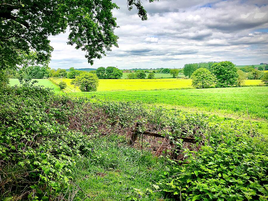 Northamptonshire  Photograph by Gordon James