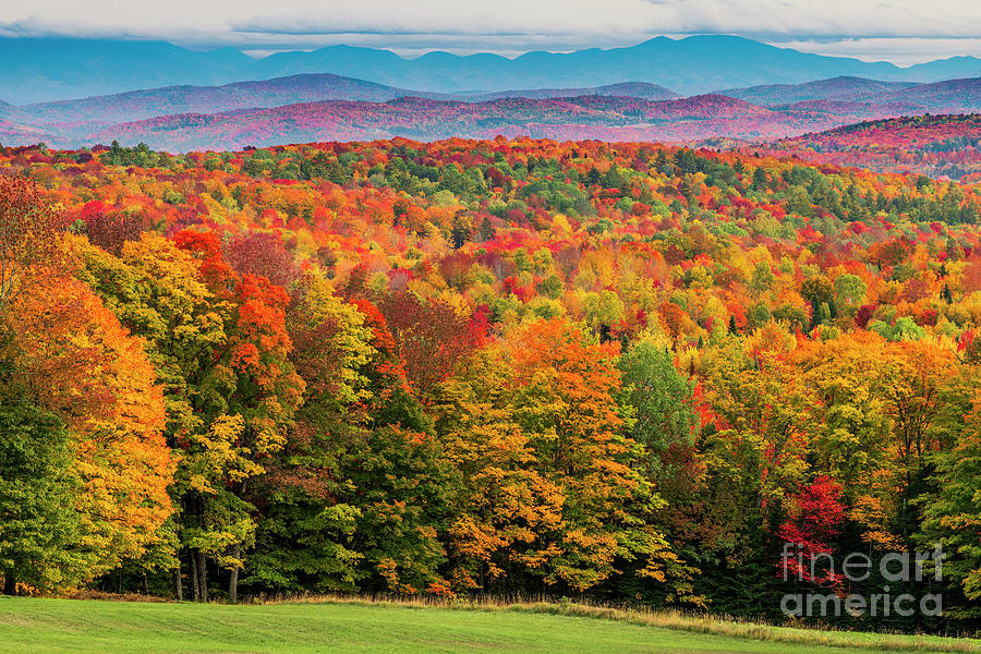 Northeast Kingdom Fall View Photograph by Alan L Graham