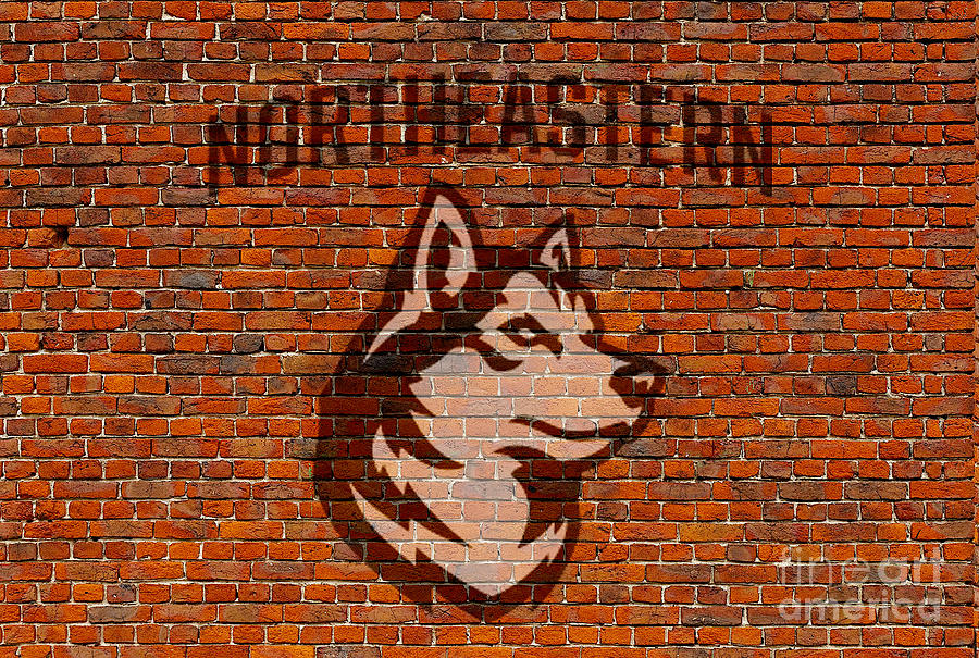Northeastern University Digital Art by Steven Parker