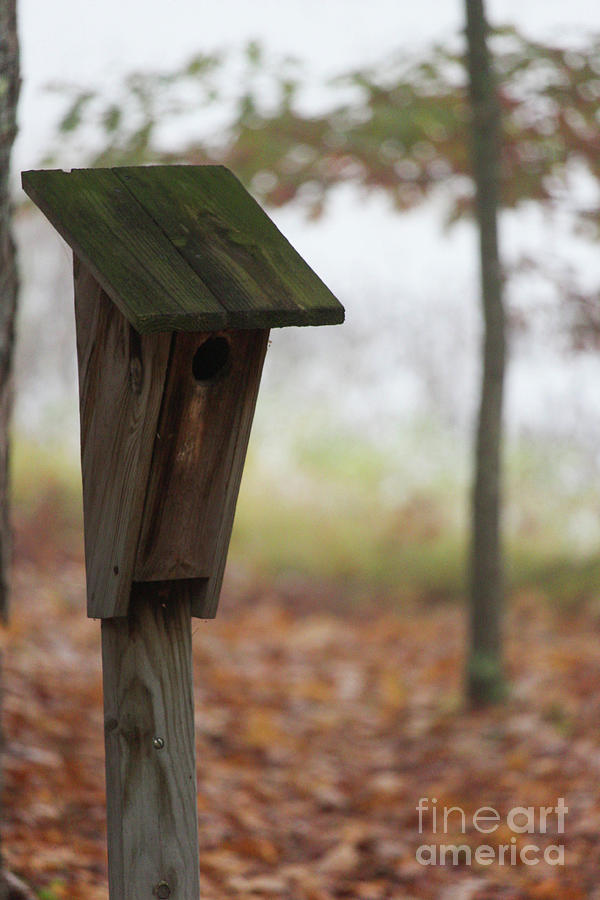 Northern Birdhouse Photograph By Sarah Ninnemann Fine Art America