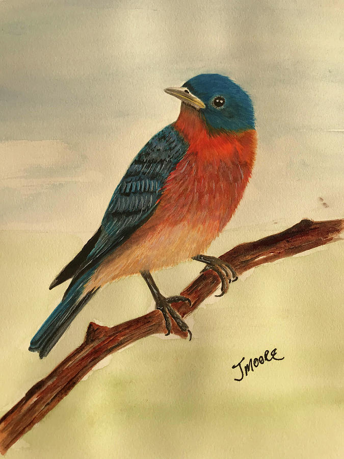 Northern Blue Bird Painting By Jeffrey A Moore - Fine Art America