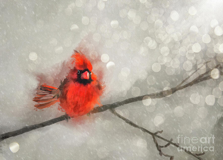 Northern Cardinal On A Snowy Windy Day Digital Art by Lois Bryan