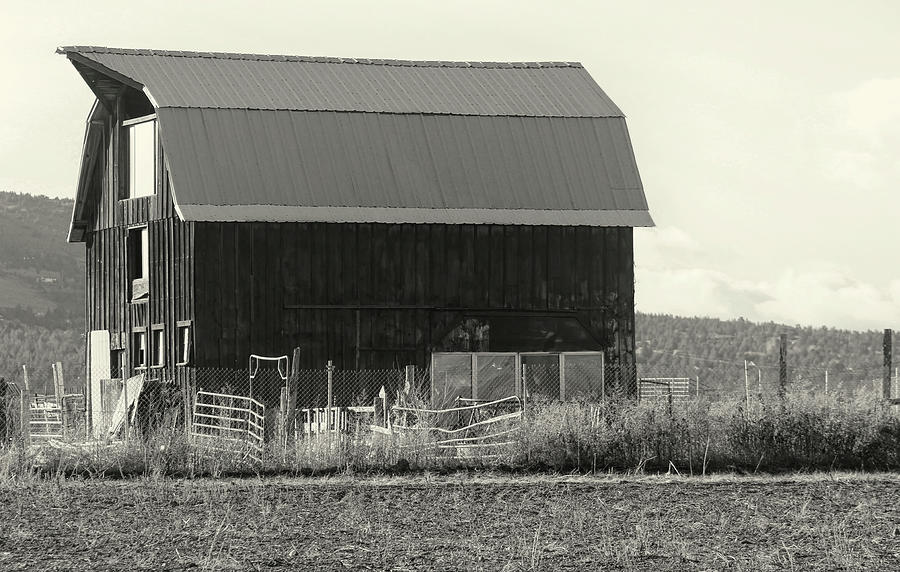 Northern Cascades Barn BW Photograph by Cathy Anderson