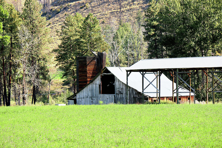 Northern Cascades Barn NC19 Photograph by Cathy Anderson