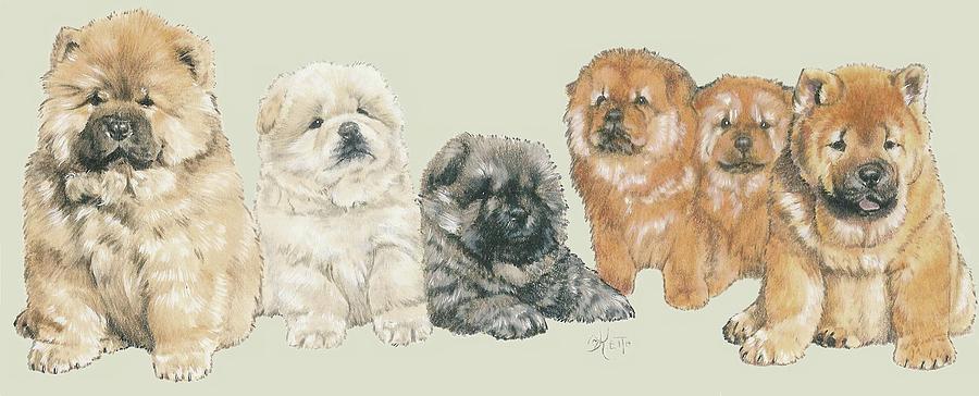 Chow Chow Puppies Mixed Media by Barbara Keith
