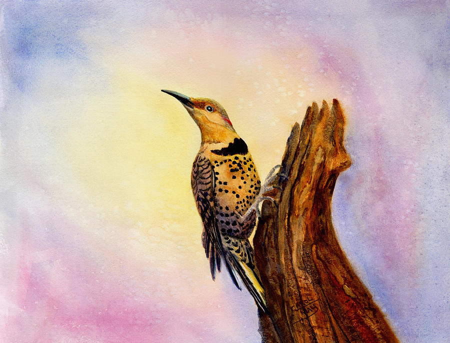 Northern Flicker Painting by Art by Carol May