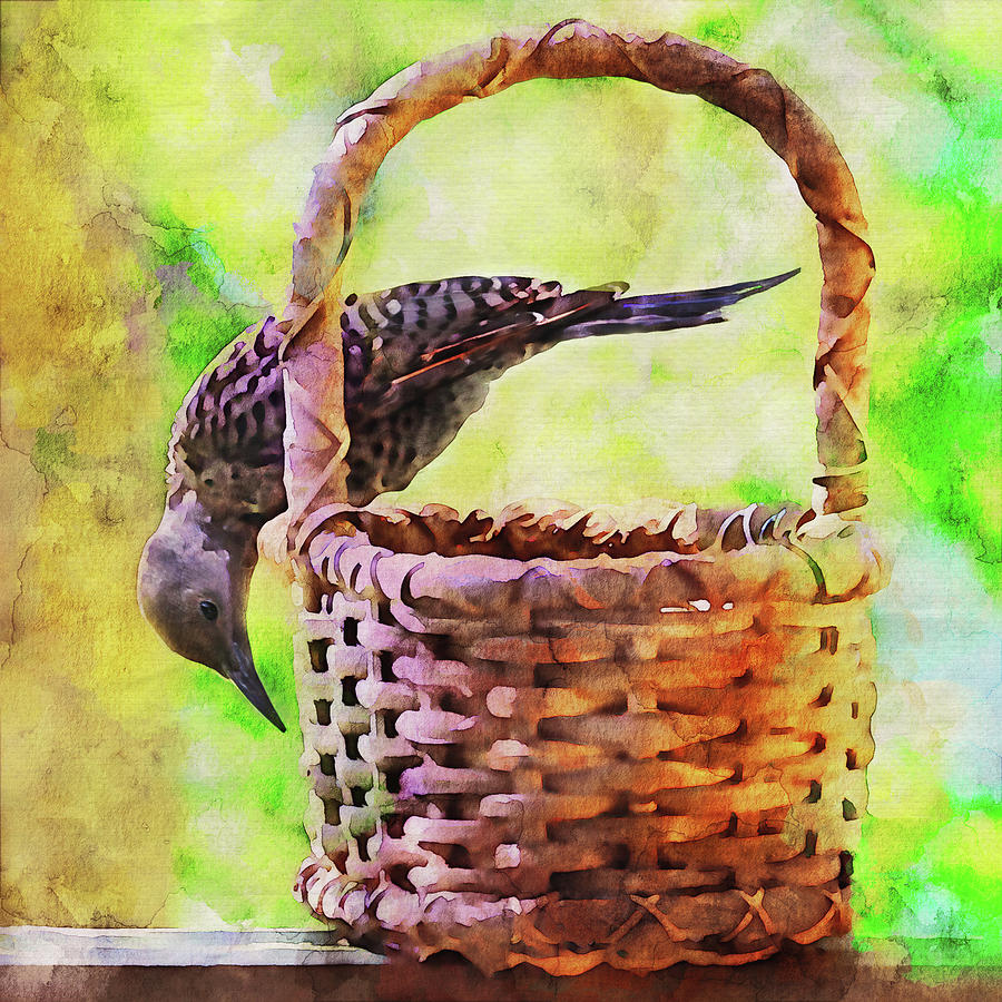 Northern Flicker on a Basket Photograph by Peggy Collins
