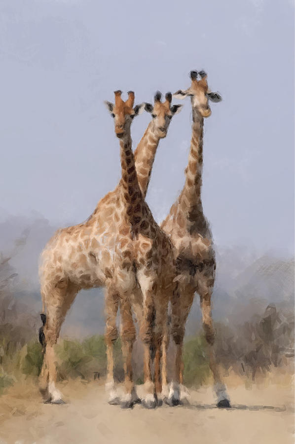 Northern Giraffe Painting by Gary Arnold