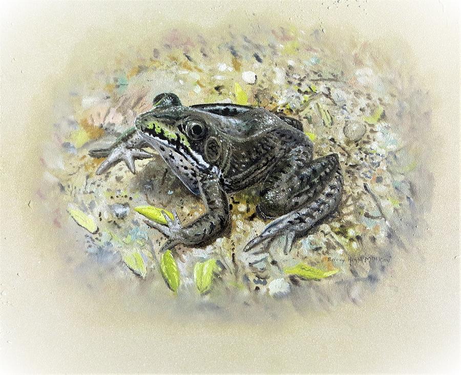 Northern Green Frog Painting by Barry Kent MacKay