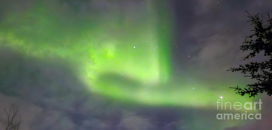 Northern Light Photograph by David Jennings Northern Light Photograph by David Jennings