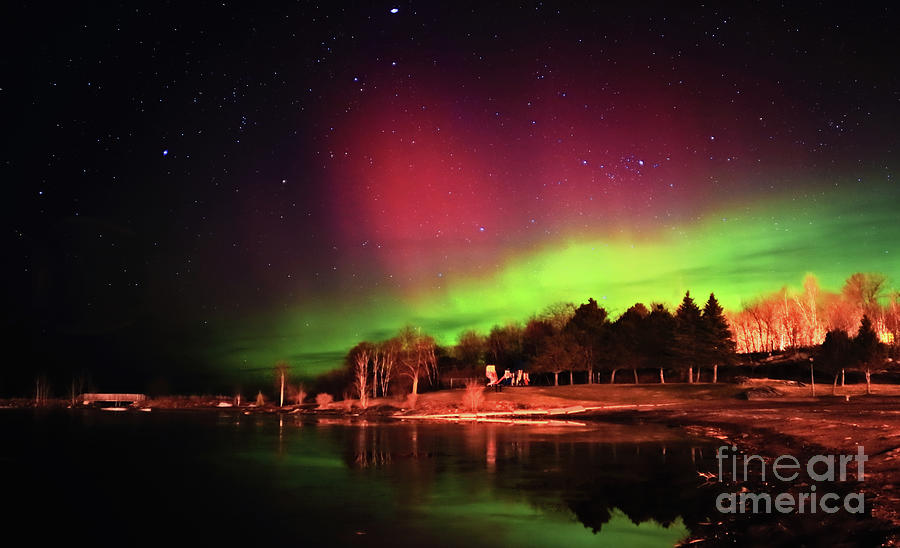 Northern Light in Starry Skyy Photograph by Charline Xia