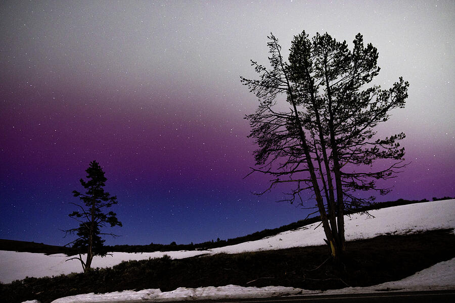 Northern Lights 1 Photograph by Julie Argyle Northern Lights 1 Photograph by Julie Argyle