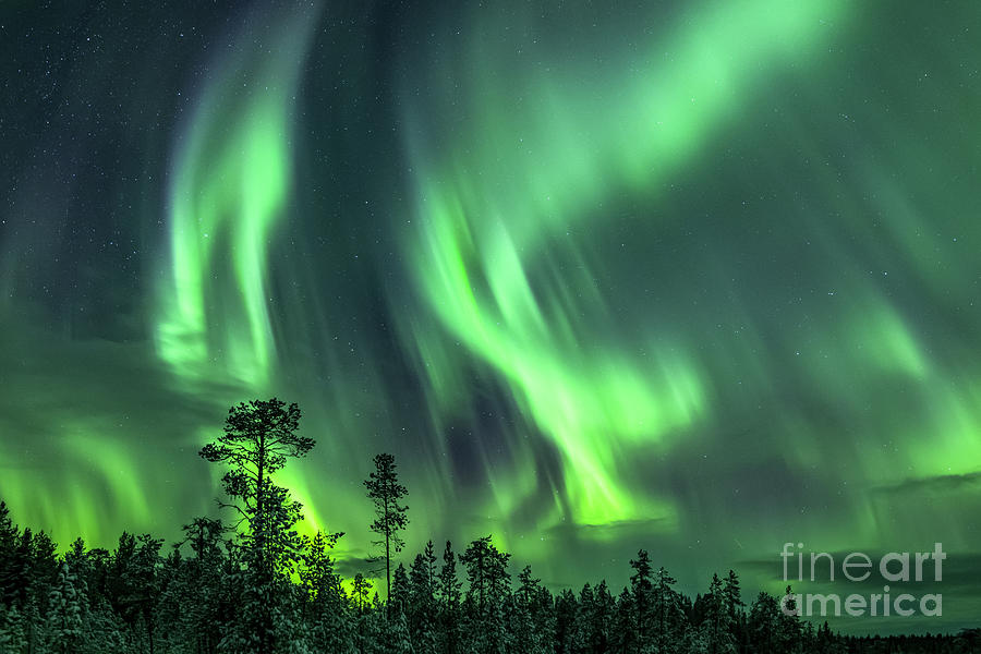 Northern Lights Photograph by Arterra Picture Library